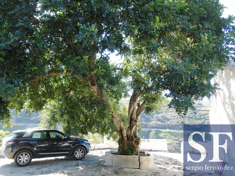 Villa for Sale in Cómpeta, Malaga 15