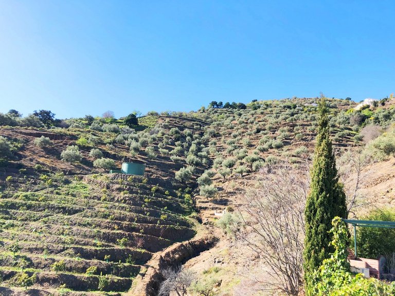 Villa for Sale in Cómpeta, Malaga 12