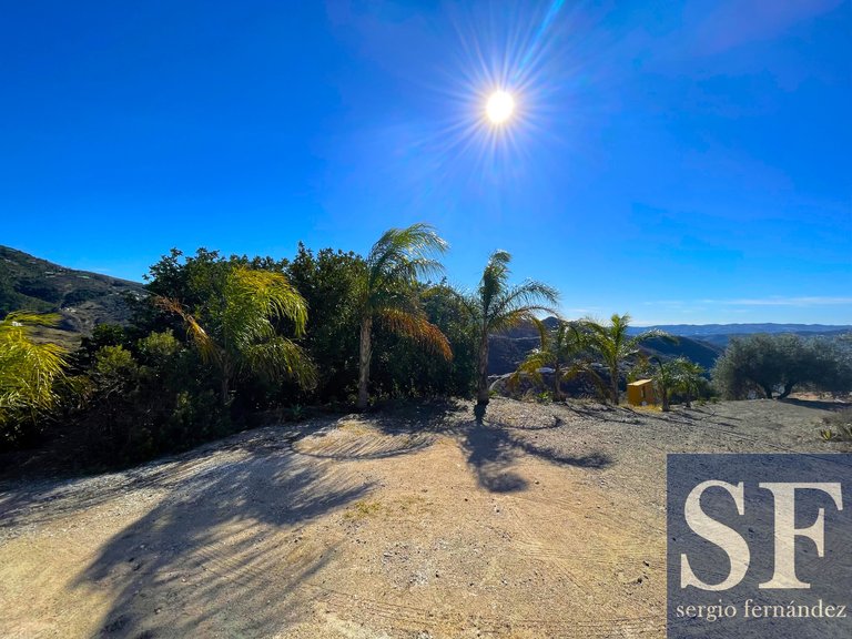 Villa for Sale in Canillas De Aceituno, Malaga 14