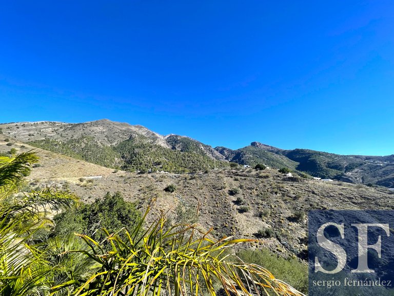 Villa for Sale in Canillas De Aceituno, Malaga 18