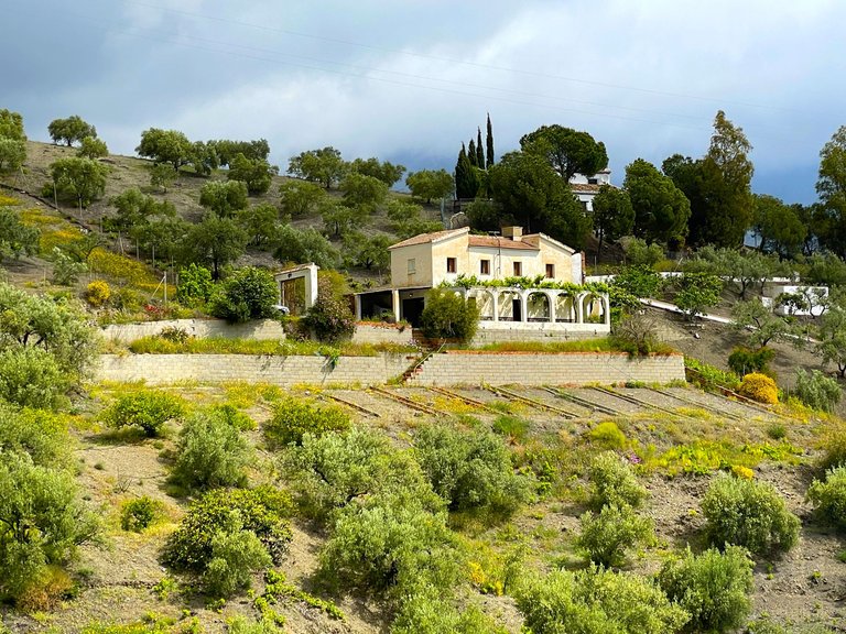 Villa for Sale in Canillas De Albaida, Malaga 1