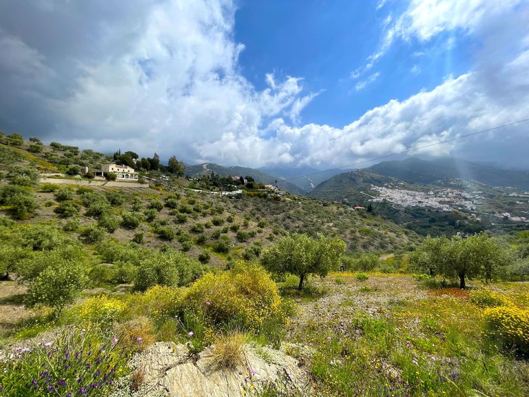 Villa for Sale in Canillas De Albaida, Malaga 19