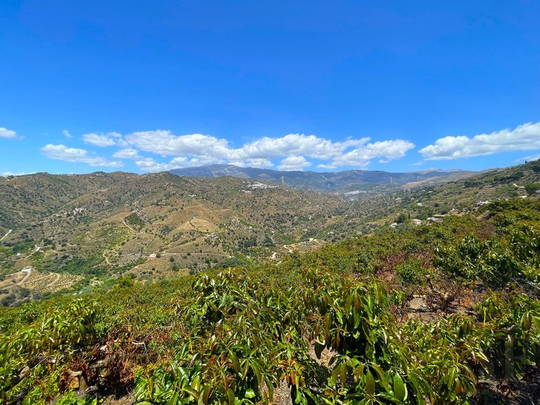 Villa for Sale in Sayalonga, Malaga 19