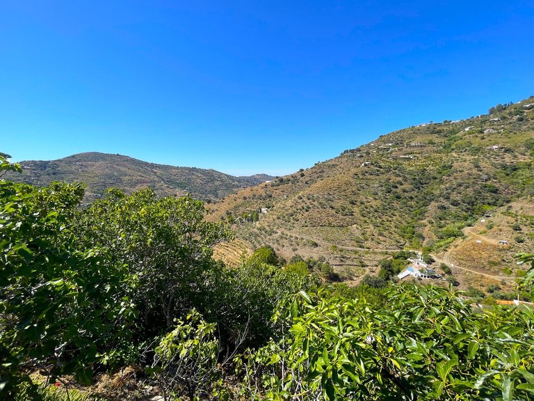 Villa for Sale in Cómpeta, Malaga 20
