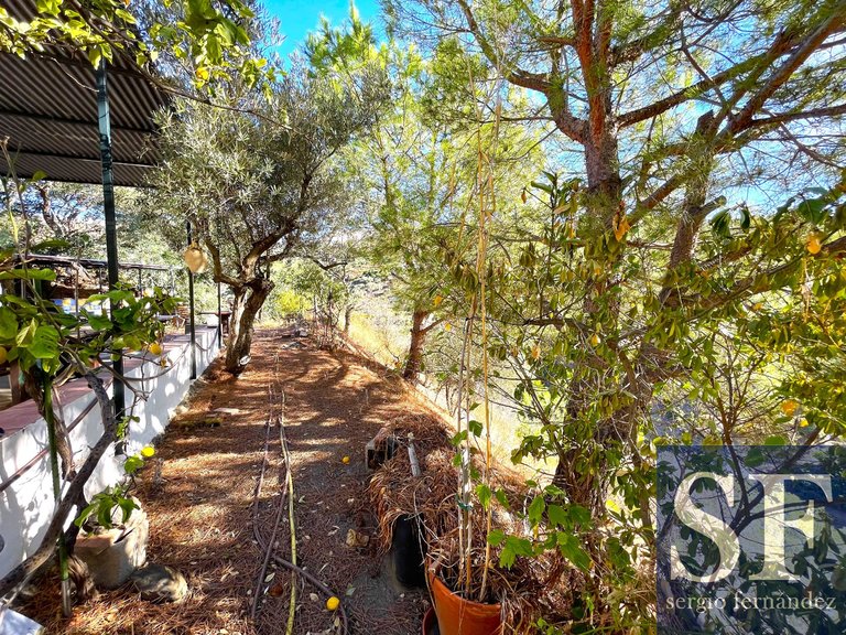 Villa for Sale in Cómpeta, Malaga 12