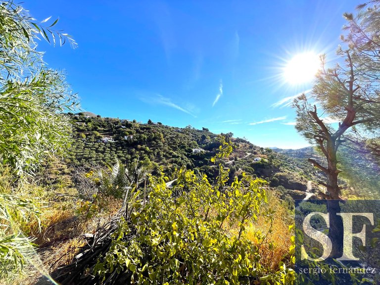 Villa for Sale in Cómpeta, Malaga 15