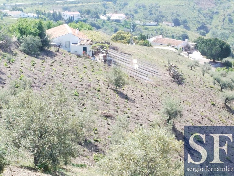 Villa for Sale in Cómpeta, Malaga 10