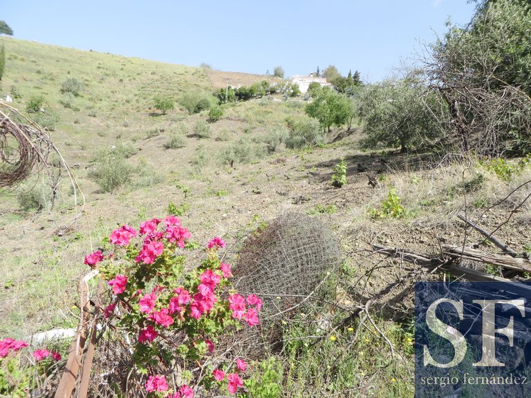 Villa for Sale in Cómpeta, Malaga 11
