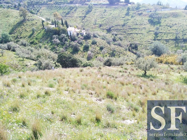 Villa for Sale in Cómpeta, Malaga 12