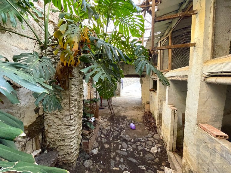Town House for Sale in Árchez, Malaga 5