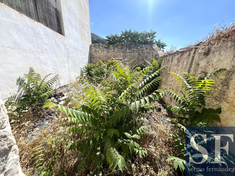 Town House for Sale in Canillas De Aceituno, Malaga 6