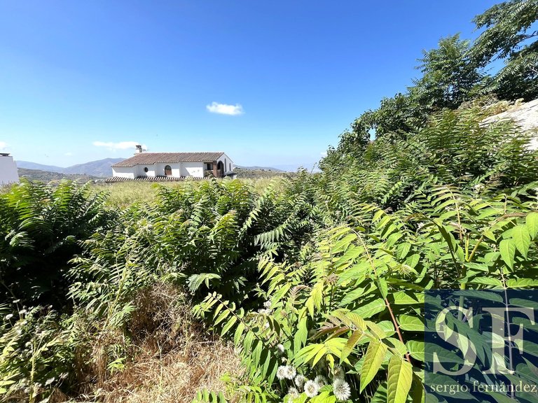 Town House for Sale in Canillas De Aceituno, Malaga 7