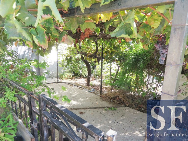Town House for Sale in Cómpeta, Malaga 11