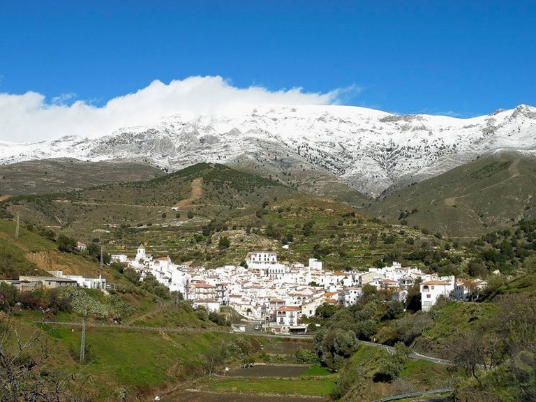 Town House for Sale in Sedella, Malaga 12