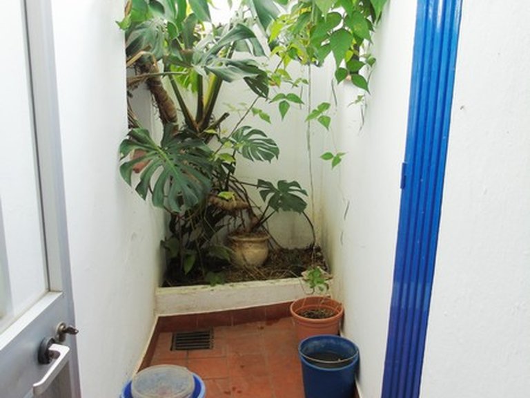 Town House for Sale in Canillas De Albaida, Malaga 6