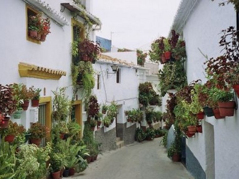 Town House for Sale in Canillas De Aceituno, Malaga 9