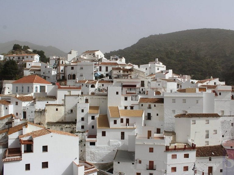 Town House for Sale in Salares, Malaga 12