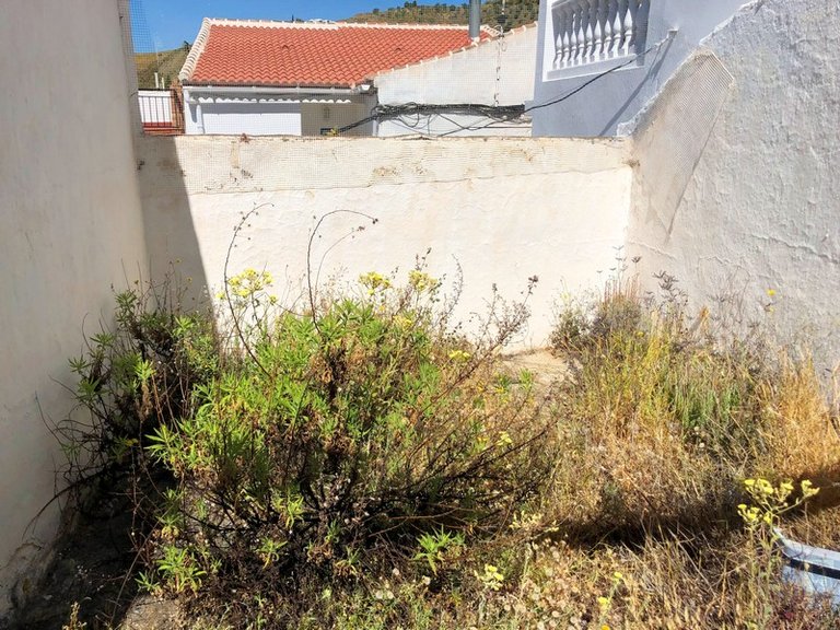 Town House for Sale in Salares, Malaga 8