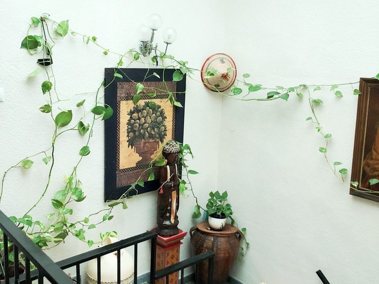 Town House for Sale in Canillas De Aceituno, Malaga 8