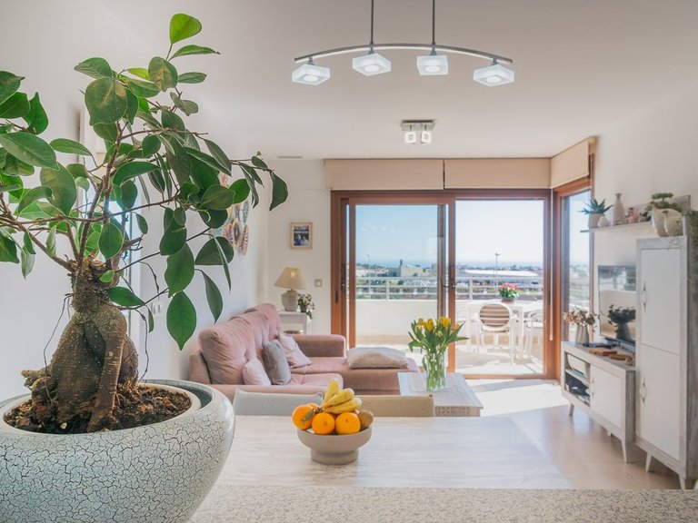 Apartment for Sale in Costa Blanca Orihuela Costa, Alicante 18