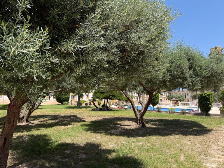 Apartment for Sale in Orihuela Costa, Alicante 8