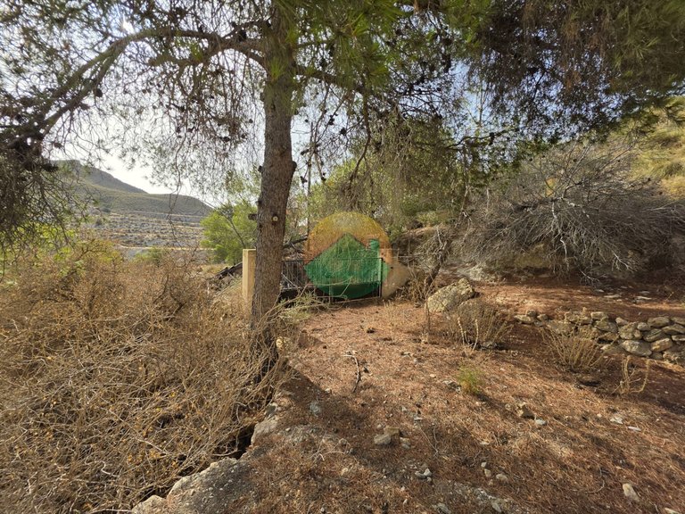 Country House for Sale in El Alamillo, Murcia 12