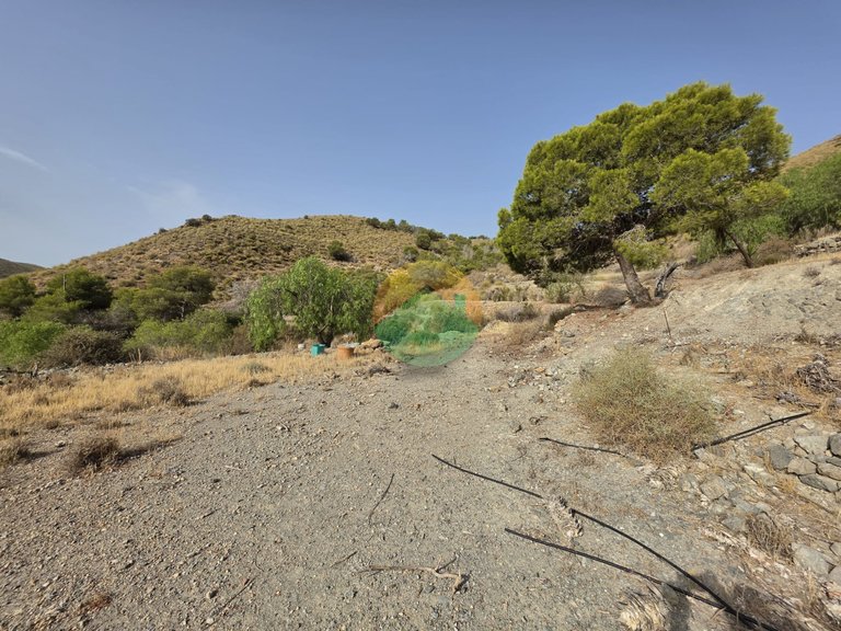 Country House for Sale in El Alamillo, Murcia 23