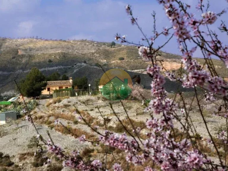 Country House for Sale in Lorca, Murcia 5