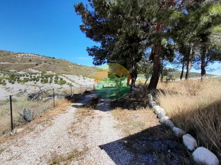 Country House for Sale in Lorca, Murcia 21
