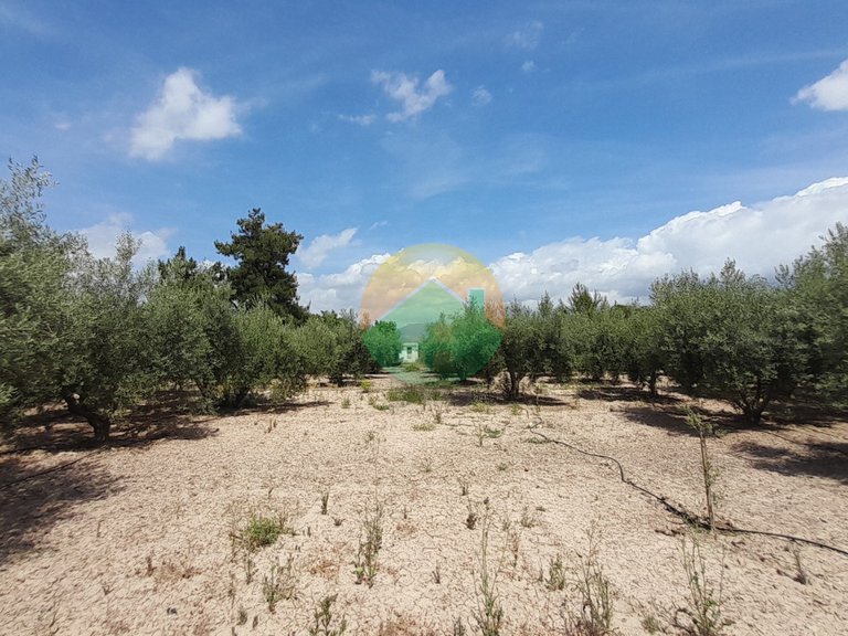 Villa for Sale in Totana, Murcia 22