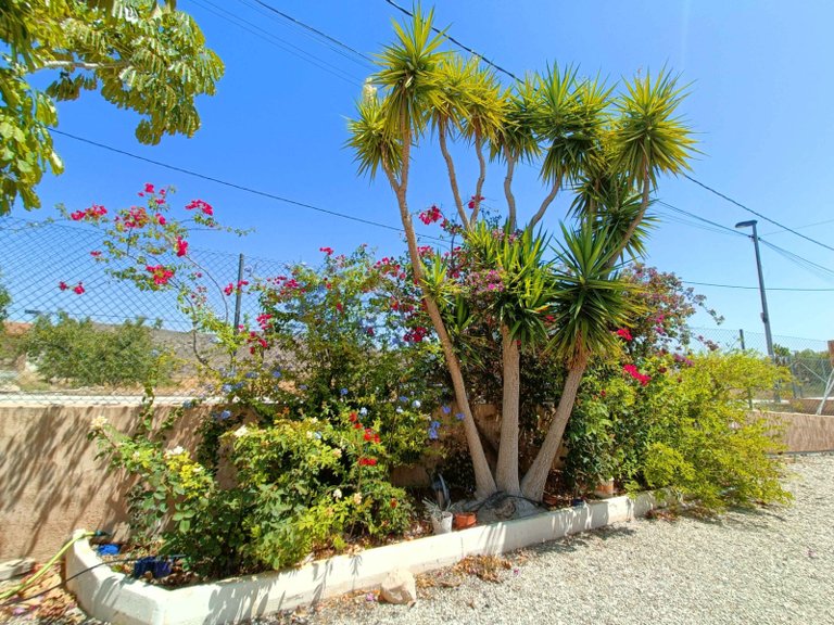 Villa for Sale in Abanilla, Murcia 43