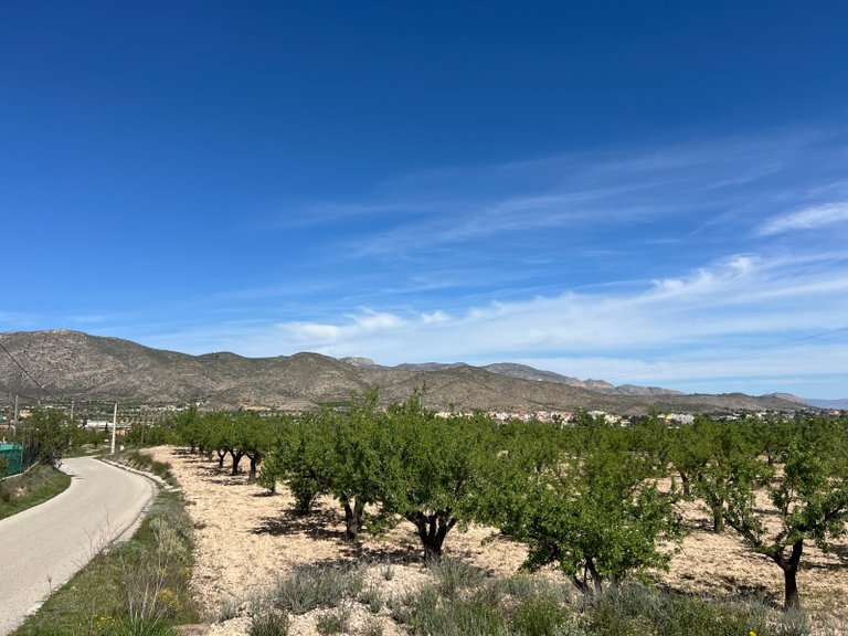Plot for Sale in Hondón De Los Frailes, Alicante 4