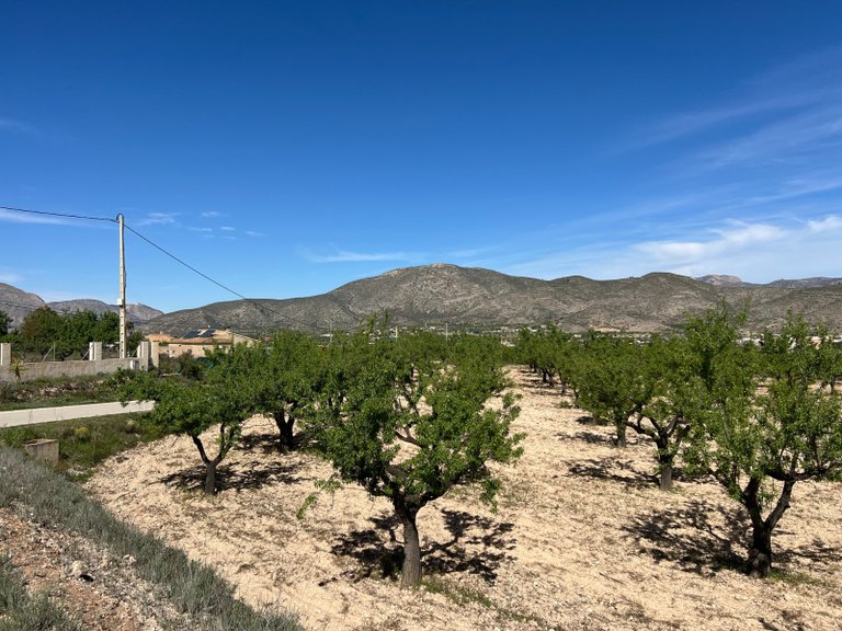 Plot for Sale in Hondón De Los Frailes, Alicante 11