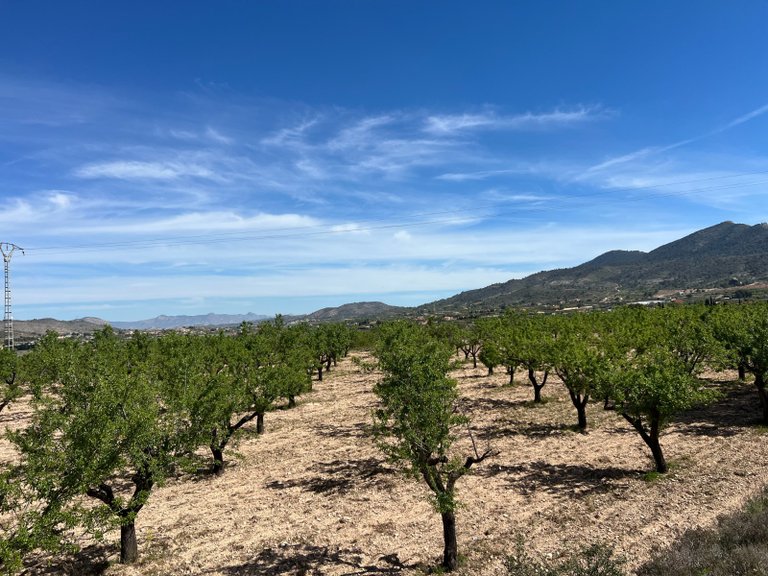 Plot for Sale in Hondón De Los Frailes, Alicante 2
