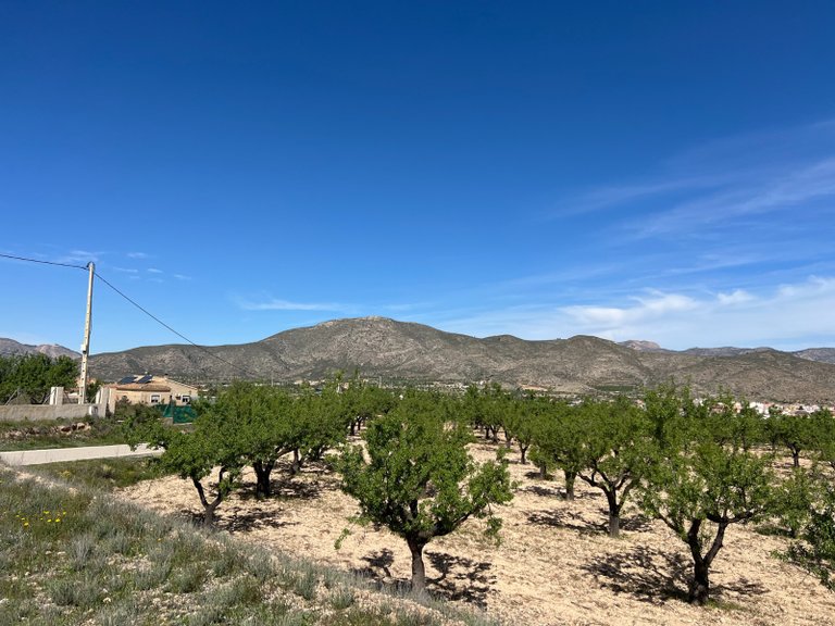 Plot for Sale in Hondón De Los Frailes, Alicante 9