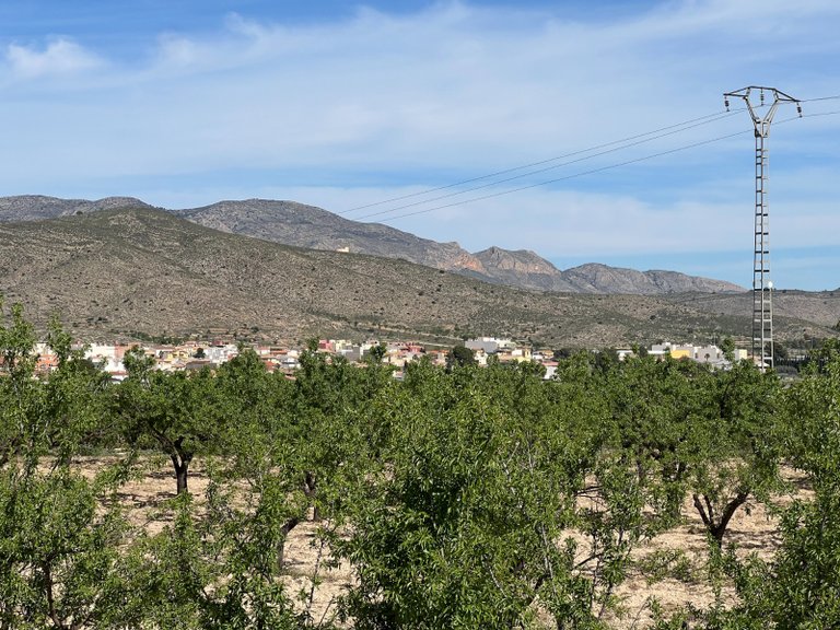 Plot for Sale in Hondón De Los Frailes, Alicante 10