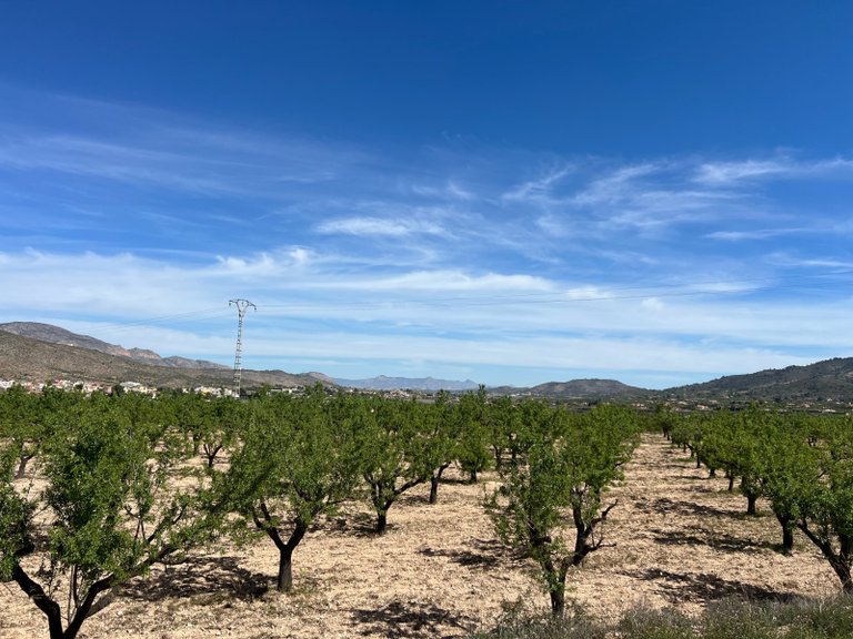 Plot for Sale in Hondón De Los Frailes, Alicante 7