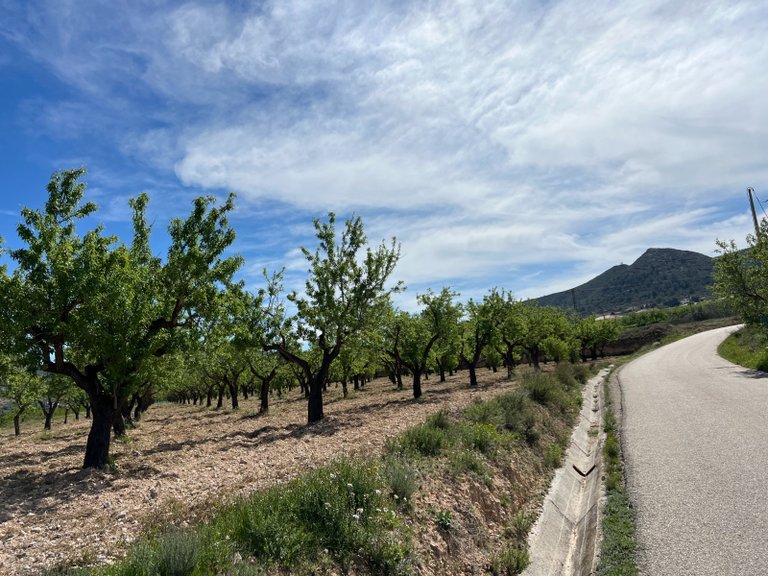 Plot for Sale in Hondón De Los Frailes, Alicante 13