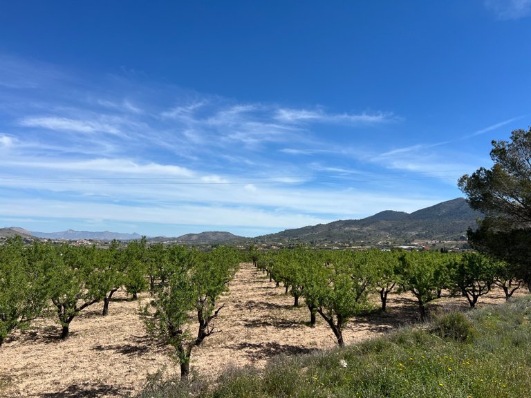 Plot for Sale in Hondón De Los Frailes, Alicante 6