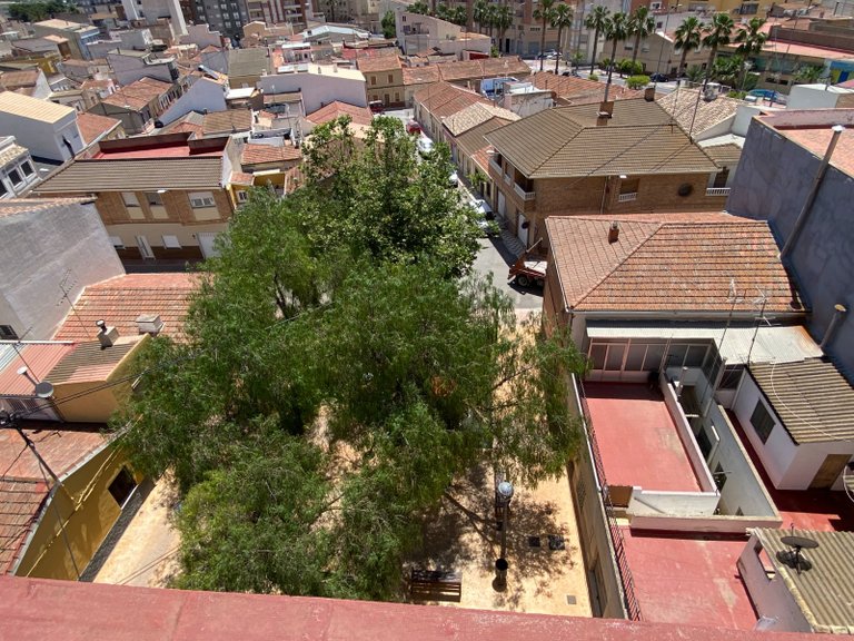 Apartment for Rent in Sax, Alicante 34