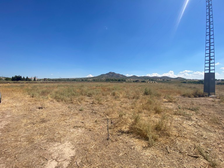 Plot for Sale in Salinas, Alicante 1