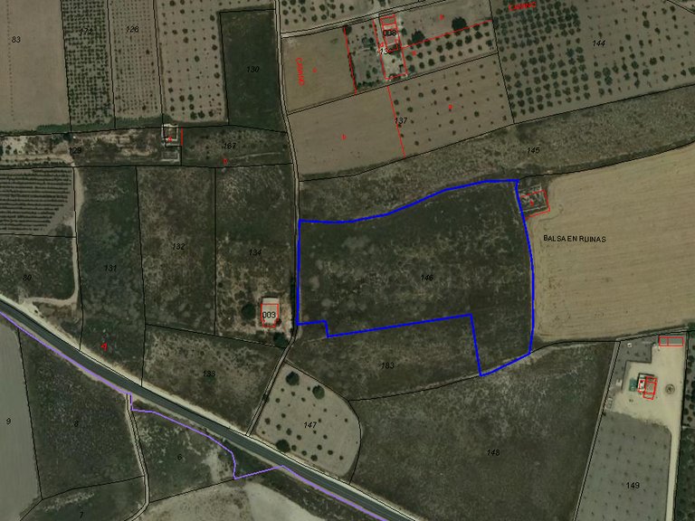 Plot for Sale in Salinas, Alicante 2