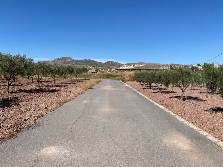 Country House for Sale in Sax, Alicante 5
