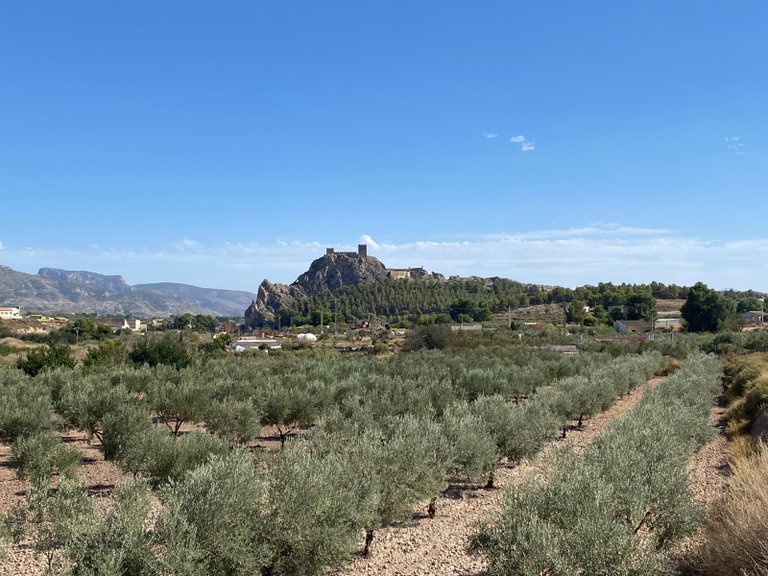 Country House for Sale in Sax, Alicante 15