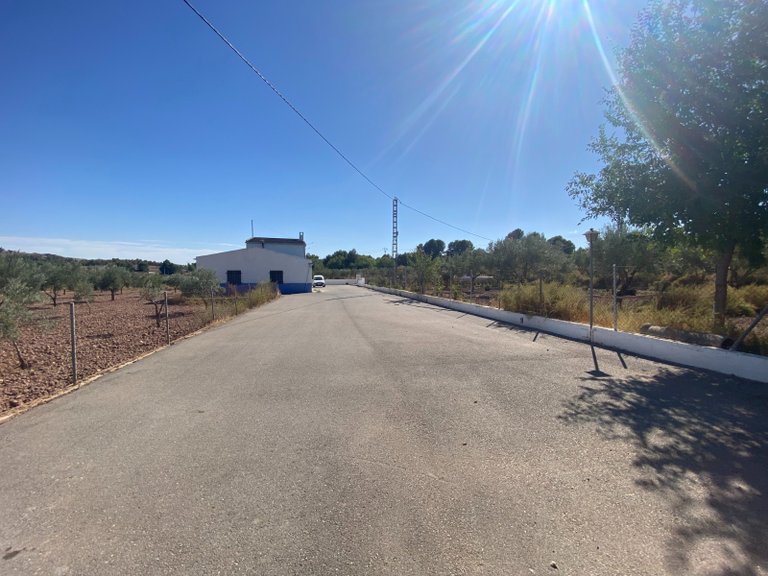 Country House for Sale in Sax, Alicante 10