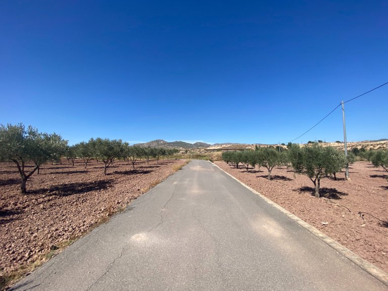 Country House for Sale in Sax, Alicante 6
