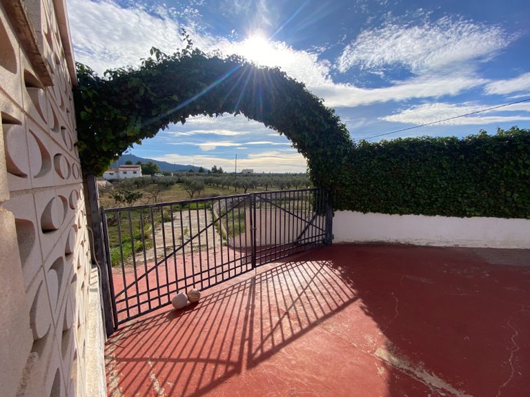 Country House for Sale in Sax, Alicante 15