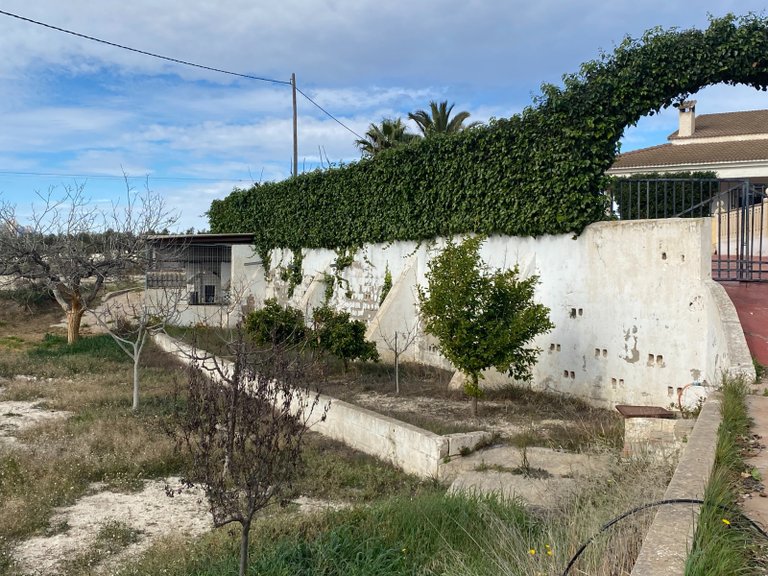 Country House for Sale in Sax, Alicante 49