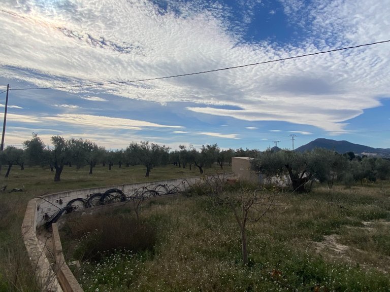 Country House for Sale in Sax, Alicante 50