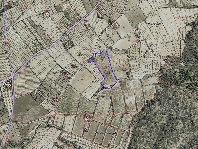 Plot for Sale in Sax, Alicante 1